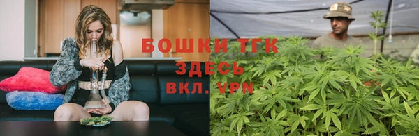 шишки Балахна