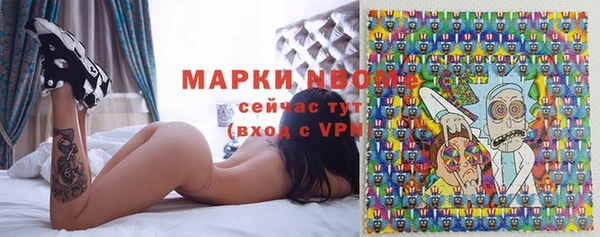 шишки Балахна
