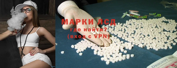 шишки Балахна