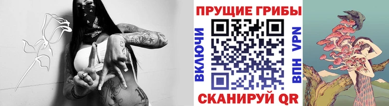 Псилоцибиновые грибы прущие грибы  мориарти как зайти  Кулебаки  hydra как войти 